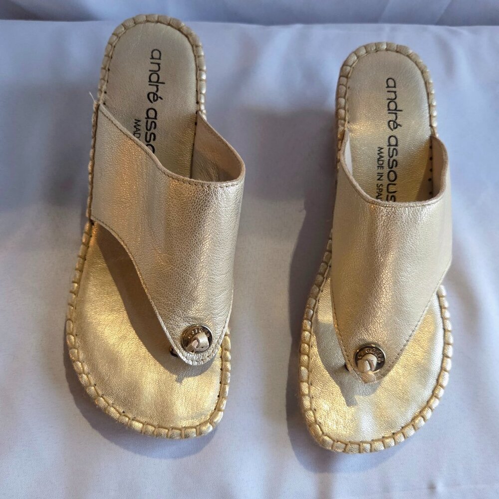 André Assous Annette2 Gold Platinum Leather Espadrille Wedge Thong Sandal Size 8
